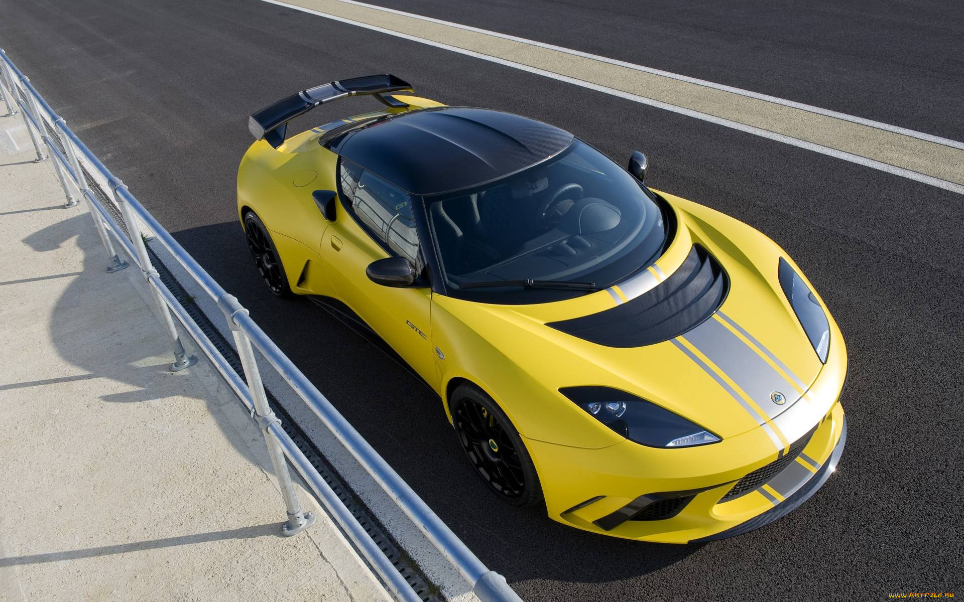 , lotus